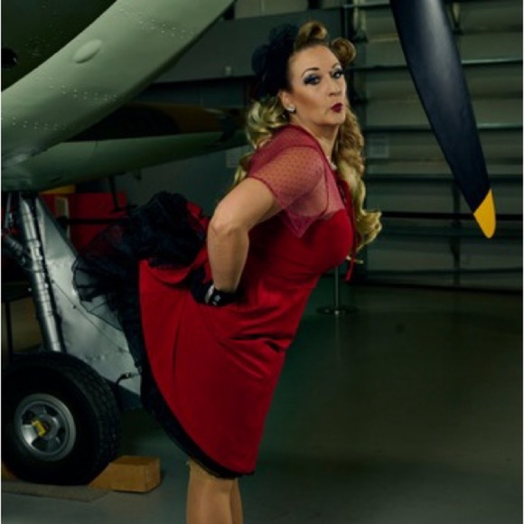 Scarlet Swing Dress with Sheer Sleeves - Picture 1 of 8